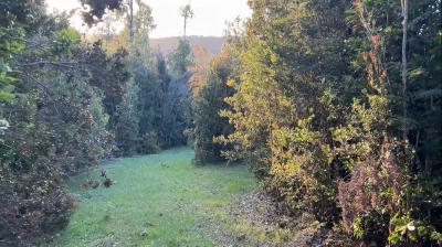 Venta-de-Campo-en-Valdivia-Tres-Chiflones